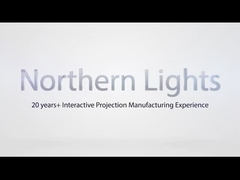 Campo da giuoco dell'interno