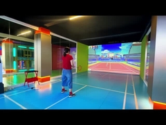 Northern Lights Professional Indoor AR Sports Badminton Giochi di palla indoor