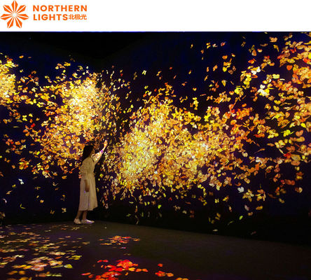Buon prezzo Proiezione digitale di arte Mapping Museum/Exhibition Immersive 360 Wall Projection in linea