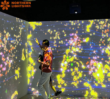 Buon prezzo Proiettore immersivo Virtual Reality Museum Show Proiezione di acquario interattivo in linea