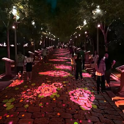 Buon prezzo Proiettore esterno Interagire con il terreno Illuminazione interattiva Proiezione a pavimento in linea