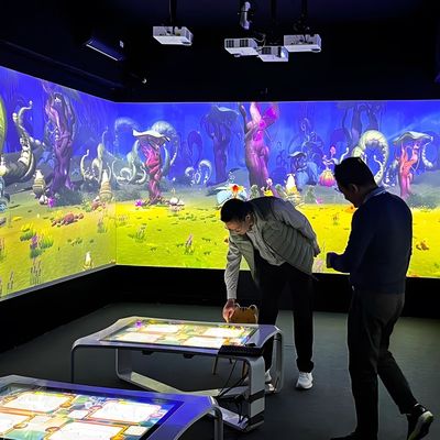 Buon prezzo 3d AR Interattiva Scansione Pittura Interattiva Proiezione murale Software per bambini Interattivo Progettore Disegno Laser Progettore in linea