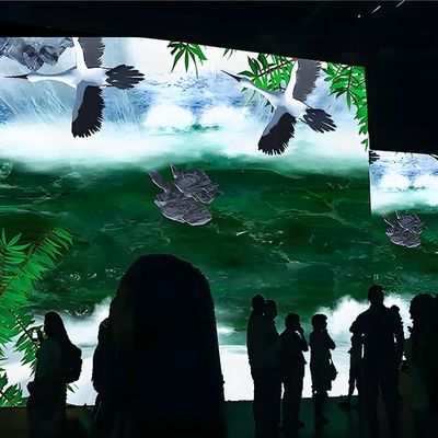 Buon prezzo Northern Lights Pubblicità Interattiva 3D Proiezione ologrammi in linea