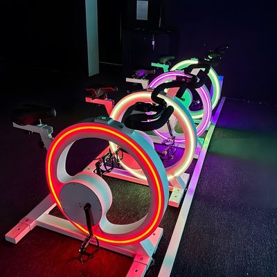 Buon prezzo Northern Lights Racing Bike Simulator Macchina da gioco Racing Projection in linea
