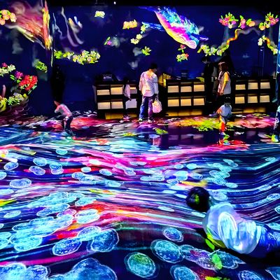 Buon prezzo Sostenere la progettazione e l'installazione di attrezzature di camera di proiezione immersiva personalizzate in linea