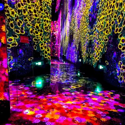 Buon prezzo Esperienza interattiva a occhio nudo Virtual 3D Indoor Immersive Exhibition in linea