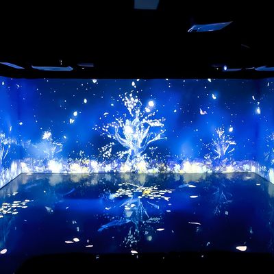 Buon prezzo Decorazioni della stanza Digital Art Museum Mostra 3d Immersive Mapping Projector in linea