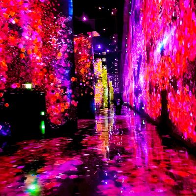 Buon prezzo Moderna proiezione laser a parete / pavimento per l'esposizione in linea