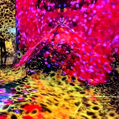 Buon prezzo Proiezione immersiva 3d per interni in linea