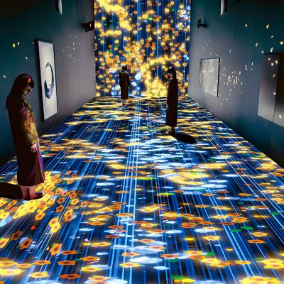 Buon prezzo Esperienza immersiva per la formazione all'insegnamento del proiettore interattivo interno in linea