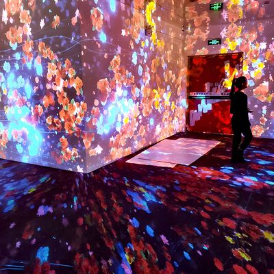 Buon prezzo Attrezzature per mostre d'arte Proiettore immersivo Proiezione interattiva all'interno in linea