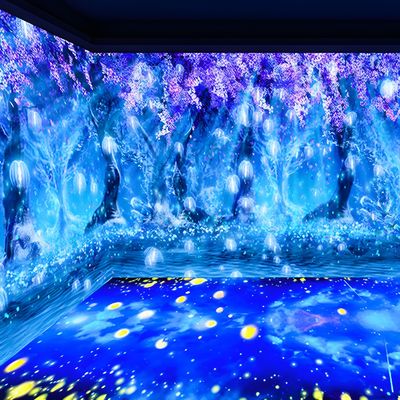 Buon prezzo Proiettore immersivo 3D Proiezione di pareti di terra per musei in linea