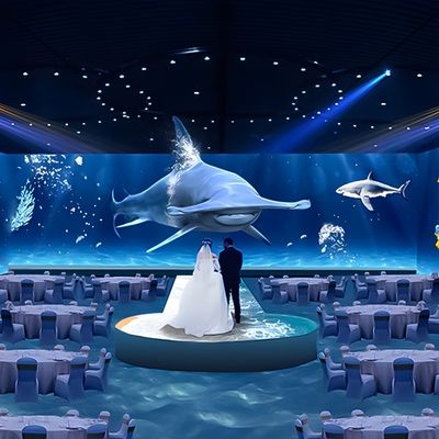 Buon prezzo Esperienza culinaria Ristorante Gioia Immersiva Proiezione 3d Mapping in linea