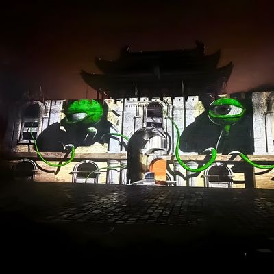 Buon prezzo Progetto di illuminazione combinato con luce esterna proiettata in linea