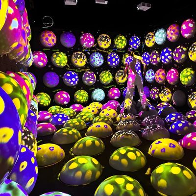 Buon prezzo Cool Jump Spazio Creatività Colorato Interattivo Indoor Jump Bouncing Ball Game in linea