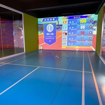 Buon prezzo Northern Lights Professional Indoor AR Sports Badminton Giochi di palla indoor in linea