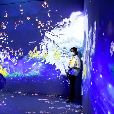 Buon prezzo Proiezione 3D per hotel in linea