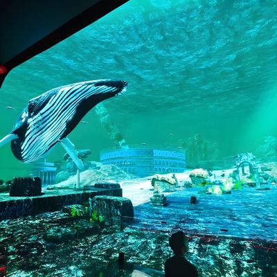 Buon prezzo 3d Hd Immersive Viewing Led Display Screen Hanging Glass Hologram Cinema in linea