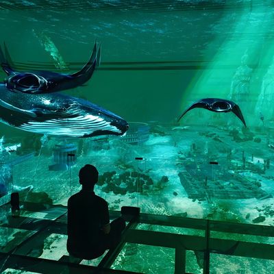 Buon prezzo Fabbrica Custom Indoor Led 5 Fold Screen Immersive 3D Holographic Theater Viewing in linea