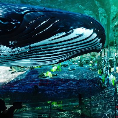 Buon prezzo Museo Simulatore Cinema 3D Cinema Experience Led Screen Immersivo in linea