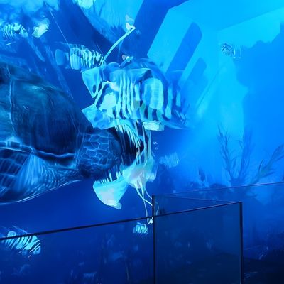 Buon prezzo VR Cinema Immersivo Simulatore Dinamico Cinema Led Screen For Exhibition Hall in linea