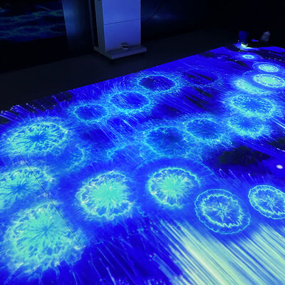 Buon prezzo Portable Mobile Interactive Floor Projection System with 1280*800 Resolution and 110V-250V Voltage in linea