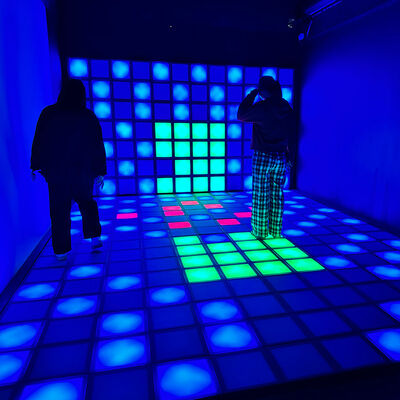 Buon prezzo 30x30cm RGB Color Interactive LED Floor Game con 1000 livelli per centri commerciali e parchi giochi in linea
